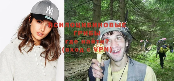 ПСИЛОЦИБИНОВЫЕ ГРИБЫ Новокубанск