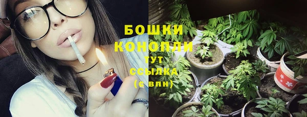 ПСИЛОЦИБИНОВЫЕ ГРИБЫ Новокубанск