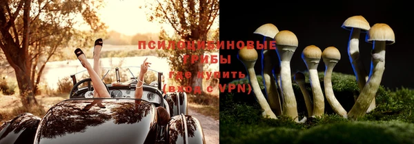 прущая мука Новозыбков