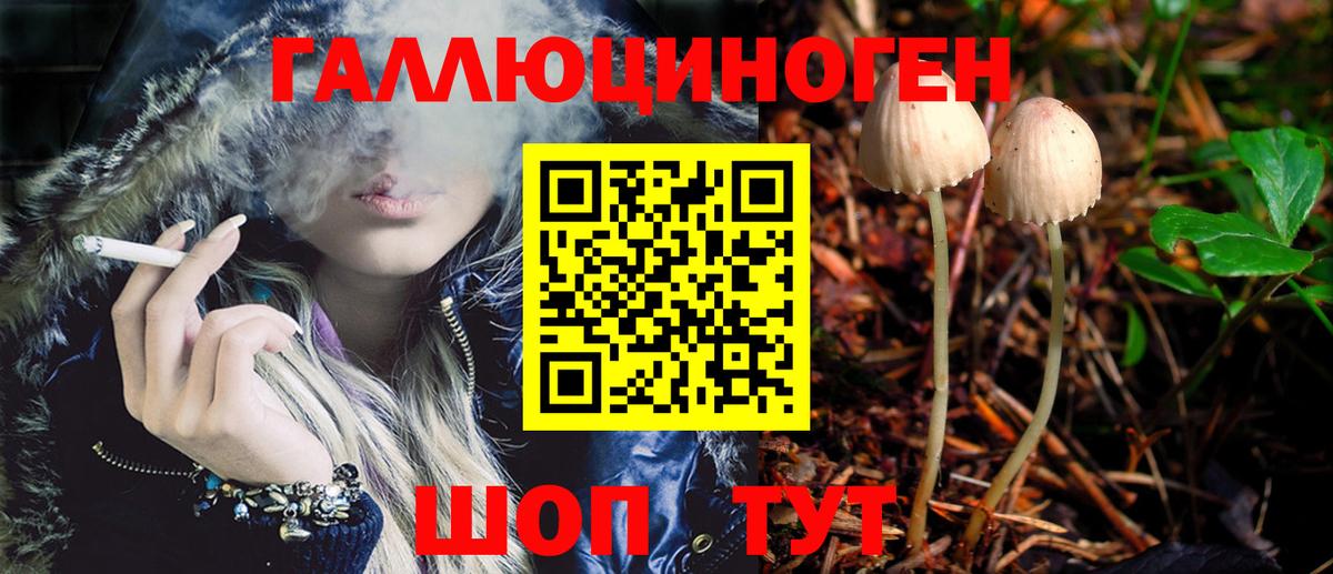 Урус-Мартан  Псилоцибиновые грибы мухоморы  Псилоцибиновые грибы Magic Shrooms  Вход с VPN 